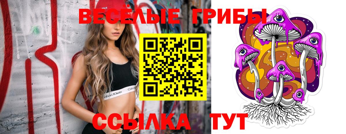COCAIN  ЭКСТАЗИ  ГАШ  Цена  Вход с VPN  Мефедрон   APVP СОЛЬ   Мичуринск  Марихуана  Каннабис 