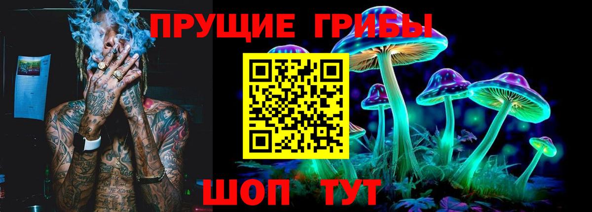 Мичуринск  Псилоцибиновые грибы Cubensis  Вход с VPN  Псилоцибиновые грибы мицелий 